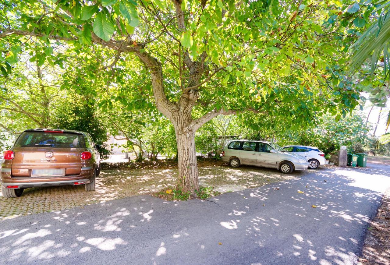 Apartments Massimo Rovinj Ngoại thất bức ảnh